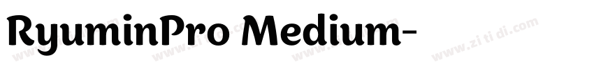 RyuminPro Medium字体转换